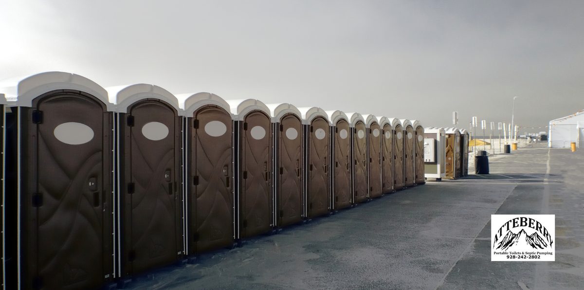 A row of clean portable toilets lined up and ready for an event